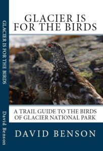 Glacier is For the Birds Book Cover